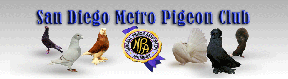 San Diego Metro Pigeon Club
